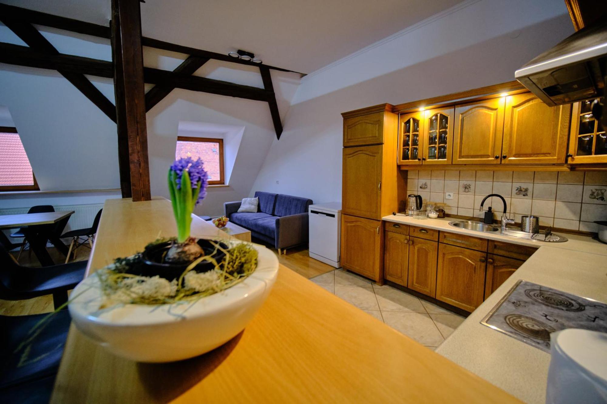 Urania Apartamenty コバリ 部屋 写真